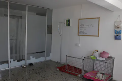 Área de hospitalización con jaulas y camitas